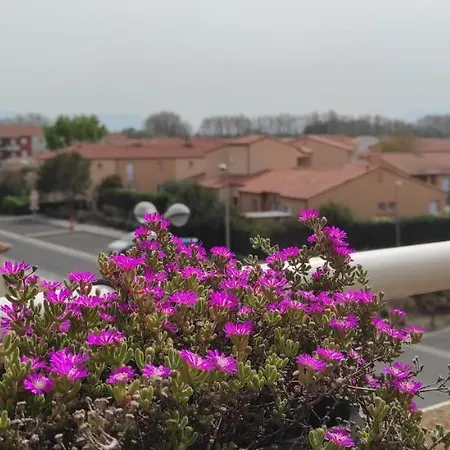 Avec Grande Terrasse A 15 Mn De La Saint-Estève